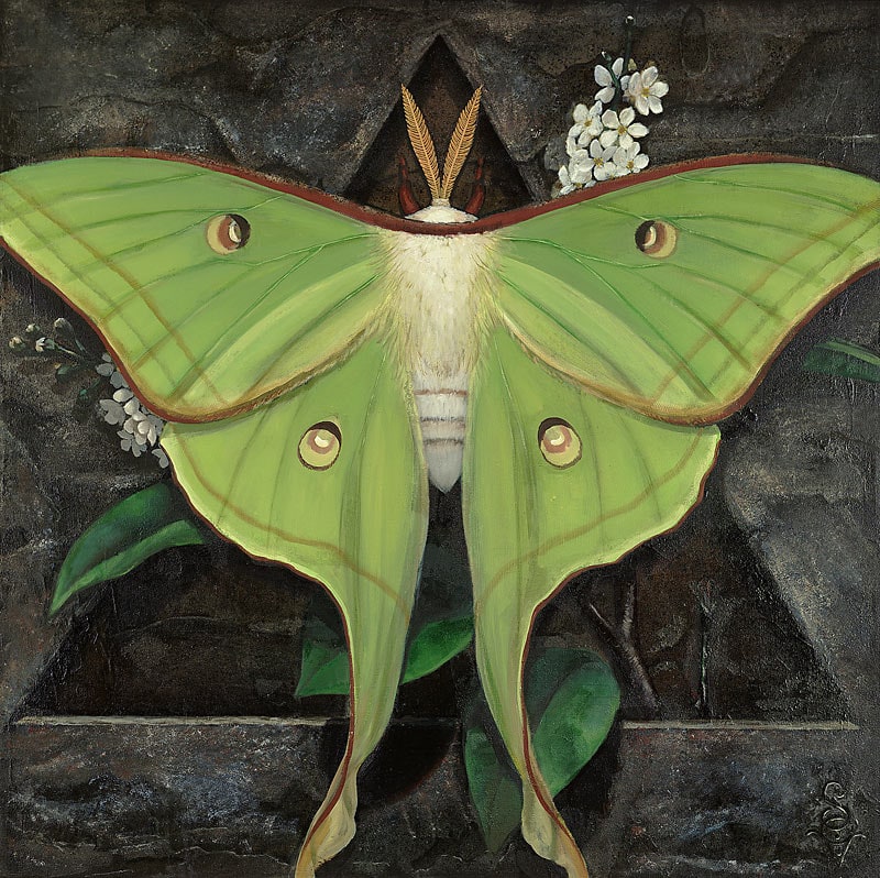 Moon: Luna Moth by S. C. Versillee