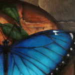 Sky: Blue Morpho Butterfly by S. C. Versillee
